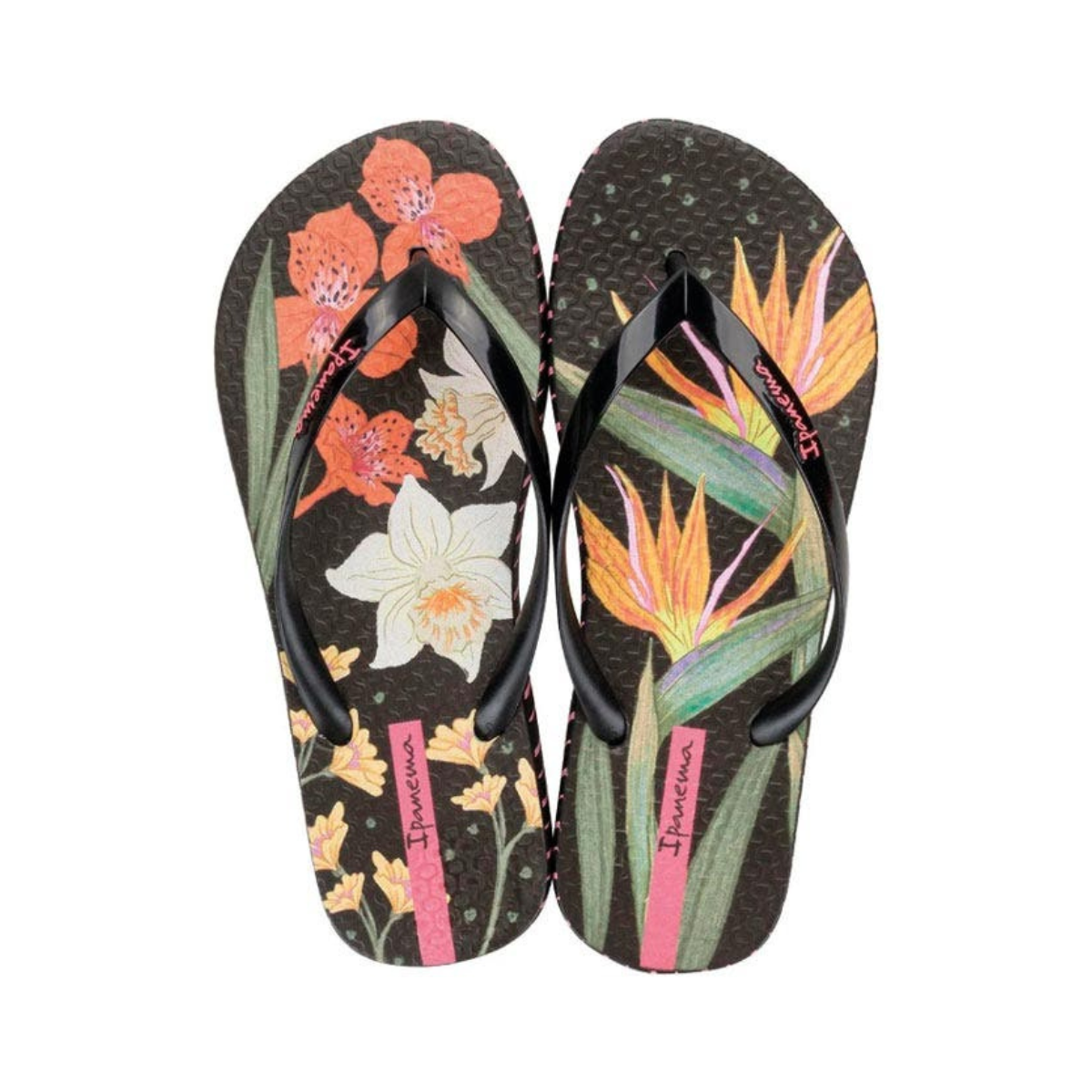 Sandalias Ipanema Sem Igual Para Mujer