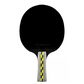 Raqueta De Ping Pong Miyagi 5 Estrellas M90502