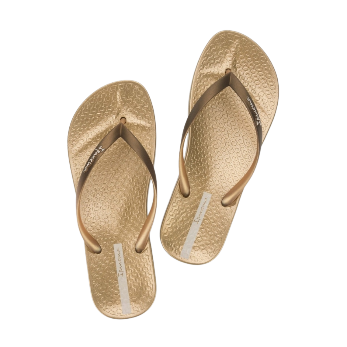 Sandalias Ipanema Anatómica Shine Para Mujer