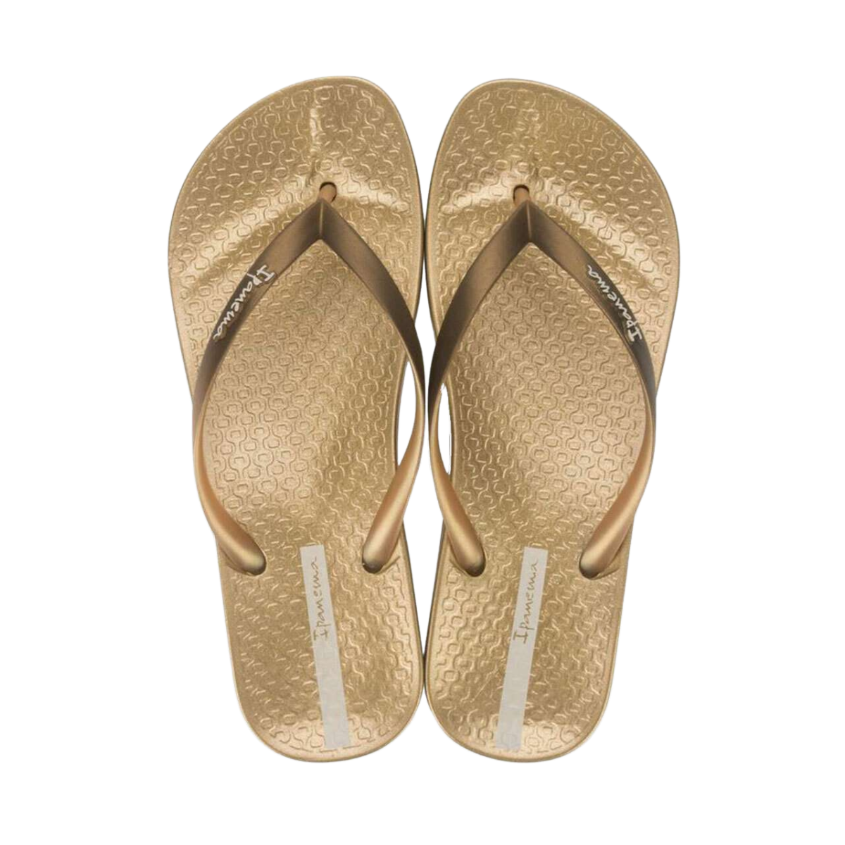 Sandalias Ipanema Anatómica Shine Para Mujer