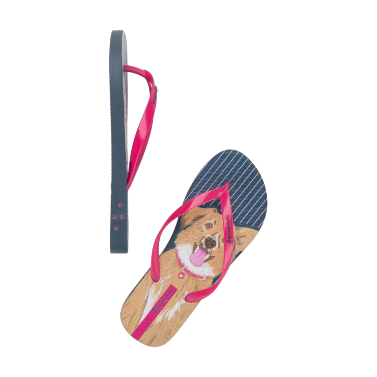 Sandalias Ipanema Love Pets Para Mujer