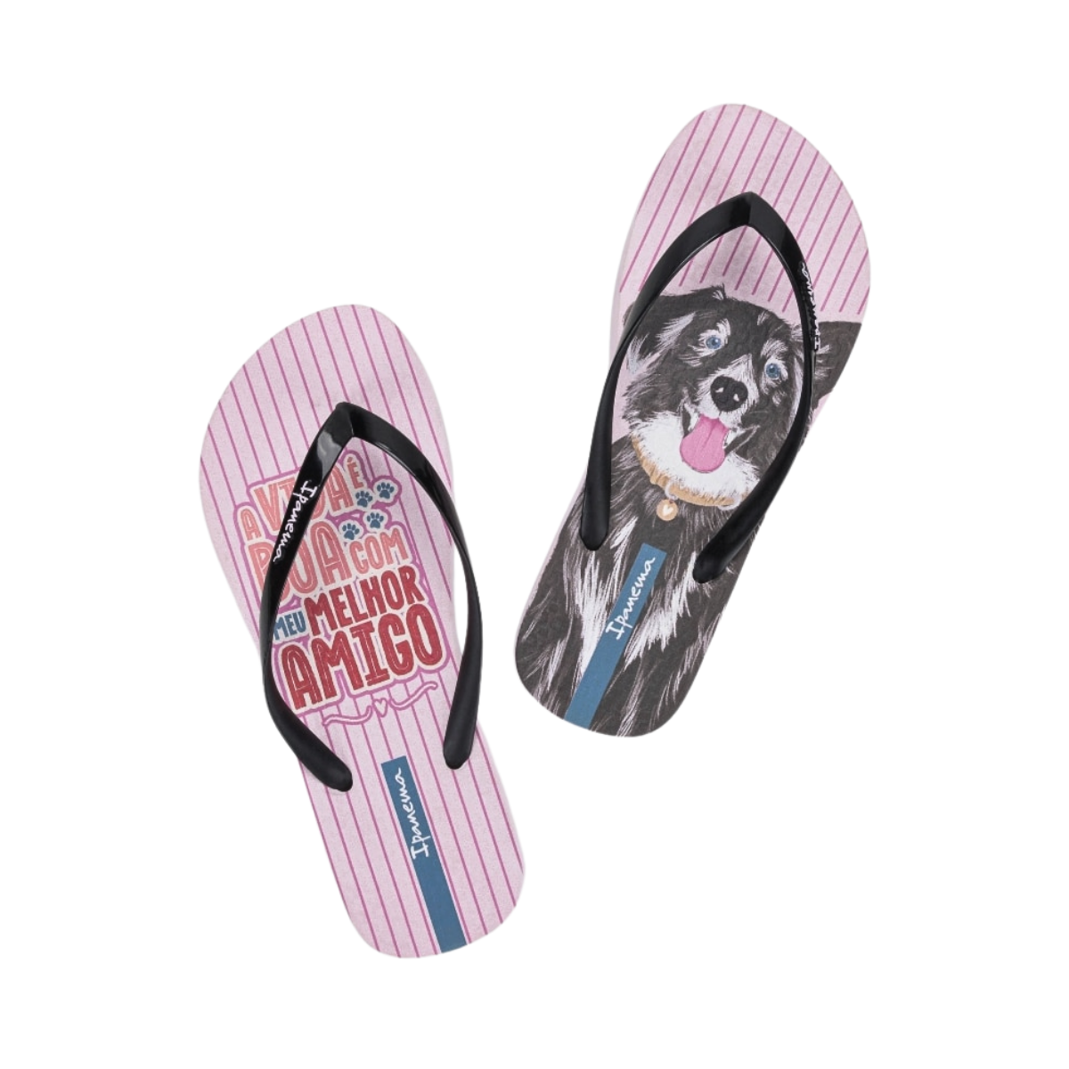 Sandalias Ipanema Love Pets Para Mujer