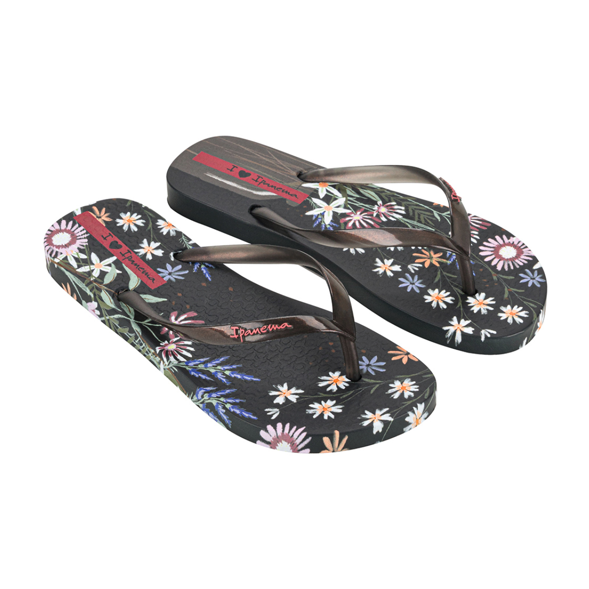 Sandalias Ipanema Verano Tropical Para Mujer