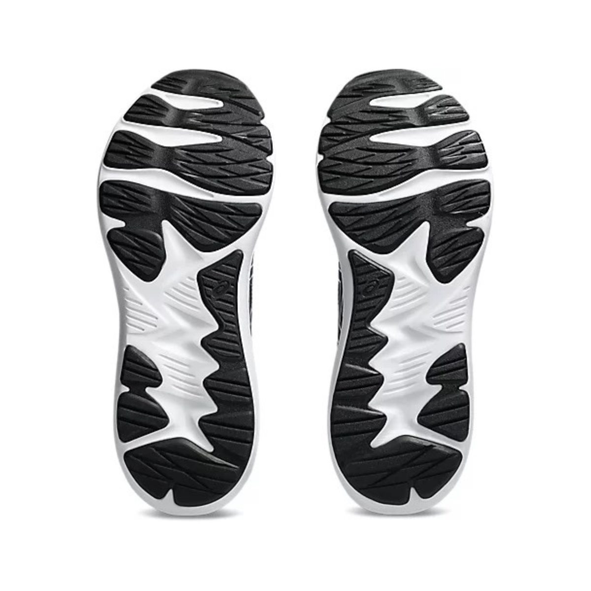 Tenis Asics Jolt 5 Para Hombre